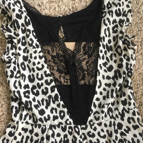 Express Leopard Print Skater Dress w Lace Back - Picture 4 of 5